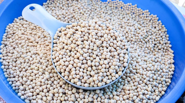 廣東麻將規則詳解：新手入門到精通策略